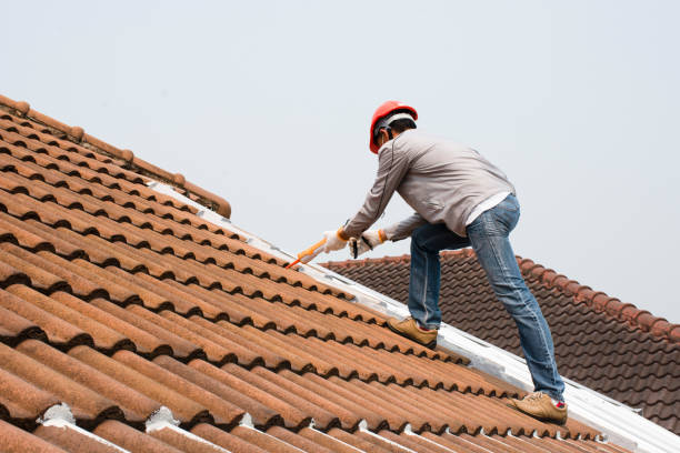 Best Steel Roofing  in West Brownsville, PA